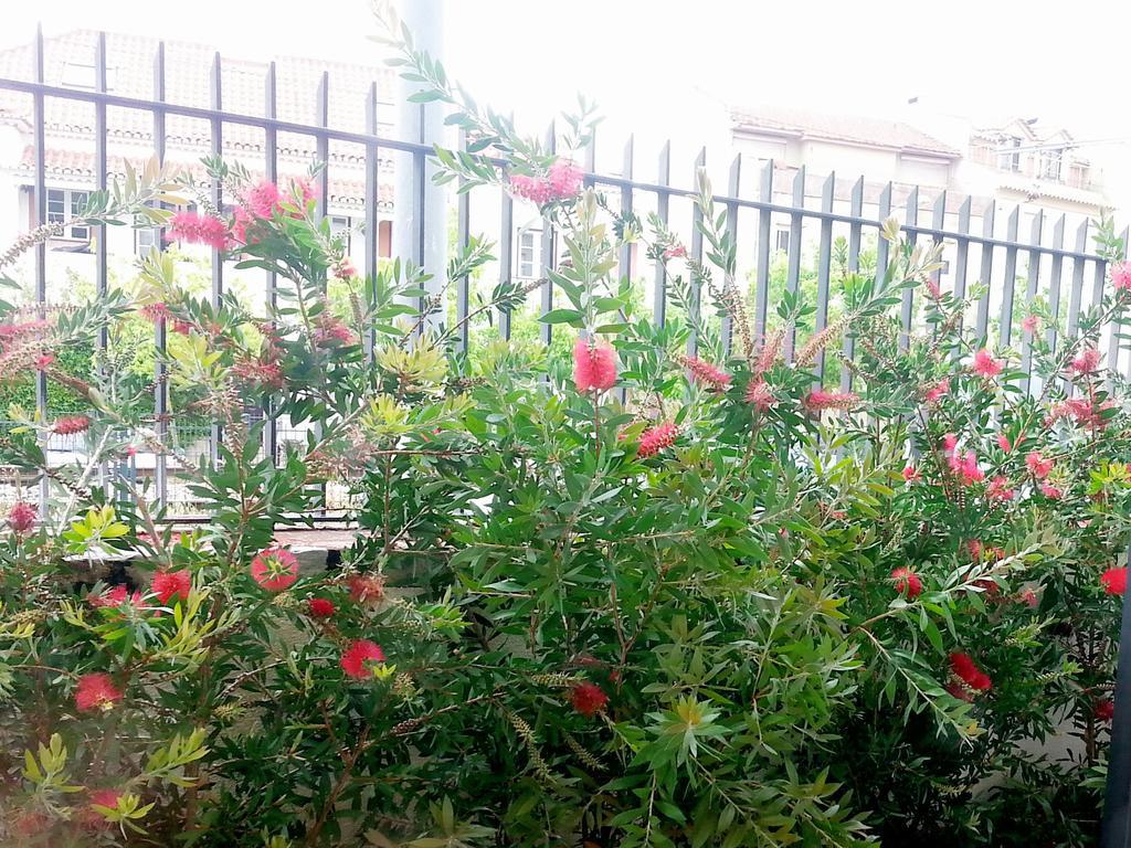 Bonvalot Guest House Paço de Arcos Dış mekan fotoğraf